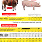 Meetlint voor het wegen van runderen en varkens