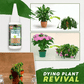 🔥Koop 2 en krijg 1 gratis (3 stuks)🔥Plantenvoedingsoplossing
