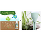 🔥Koop 2 en krijg 1 gratis (3 stuks)🔥Plantenvoedingsoplossing