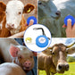 Meetlint voor het wegen van runderen en varkens
