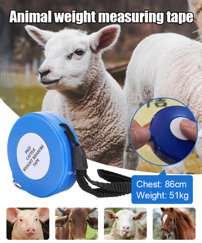 Meetlint voor het wegen van runderen en varkens
