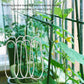 🔥🔥Aanbieding! 🌱 Verbindingsgespen - Verbindingsgespen voor planten