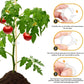 T🔥Beveiligde plastic plantenklem