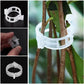 T🔥Beveiligde plastic plantenklem