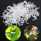 T🔥Beveiligde plastic plantenklem