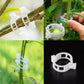 T🔥Beveiligde plastic plantenklem