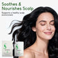 ⏳Beperkte tijd 52% korting⏰Rosemary Amino Acid Moisturizing Shampoo🌿🧴