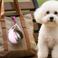 🐶🥳50% KORTING🐾Opvouwbare drinkfles voor huisdieren voor onderweg✨