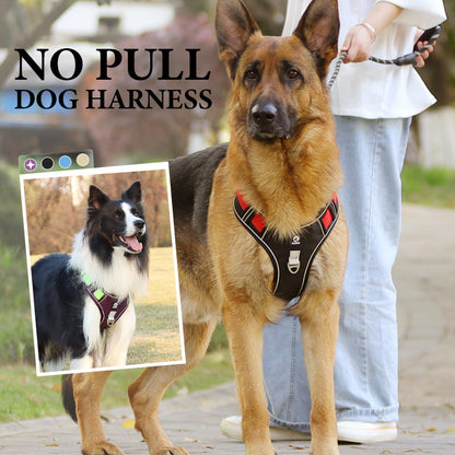 🐶Hondentuig zonder trekkracht met riem en LED-halsband – Veilig en comfortabel ✨
