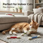 Interactief Kattenspeeltje met Kattenkruid – Leuk, Activerend & Verlicht Verveling 🐱✨