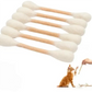 Interactief Kattenspeeltje met Kattenkruid – Leuk, Activerend & Verlicht Verveling 🐱✨