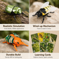Opwindbare gevleugelde insecten-simulatiespeelgoedset met educatieve kaarten
