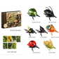 Opwindbare gevleugelde insecten-simulatiespeelgoedset met educatieve kaarten
