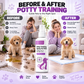 🥳HOT SALE🥳💞10K+ VERKOCHT! Potty Training Spray! Begeleidt huisdieren, veilige & eenvoudige spray. Schoner huis – haal de jouwe! ✅