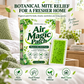 🌿Bijvoetpleisters tegen huisstofmijt ✨Langdurige bescherming voor in huis, natuurlijke kruidenpleisters voor kast, bed en bank, 6 pleisters per verpakking